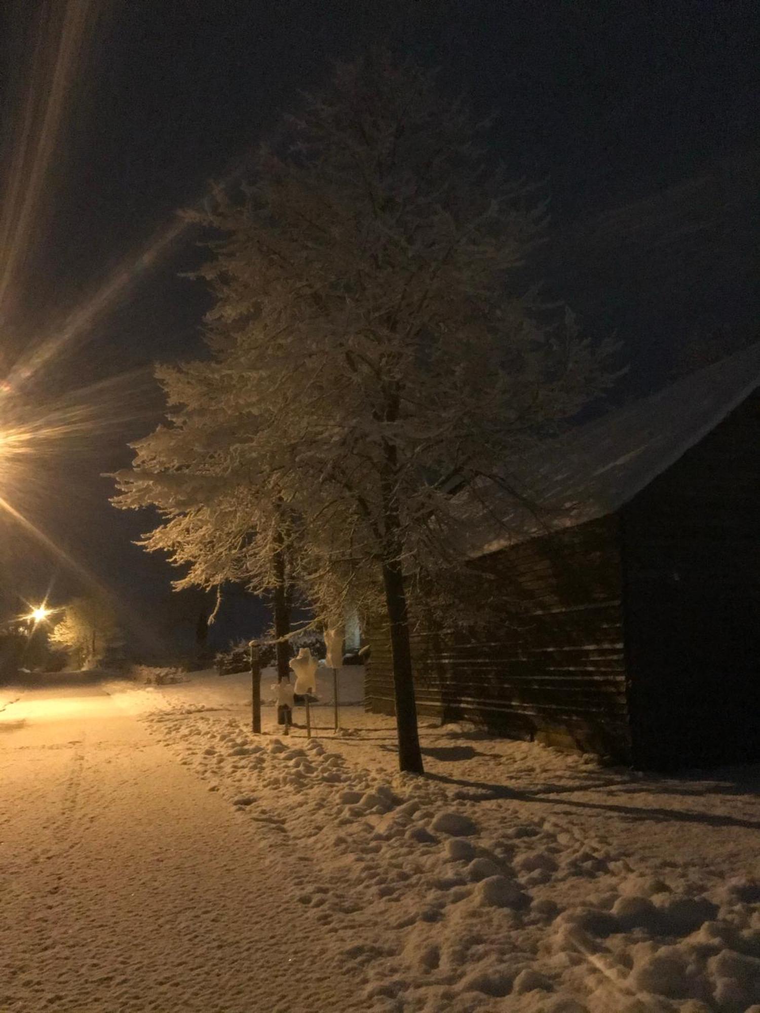 Paulis Cozy 4-Bedroom Vacation Home - With 4 Bathrooms Sun Terrace & Sauna, Nice To Hike & Bike, To Chil & Meet Büllingen Eksteriør billede