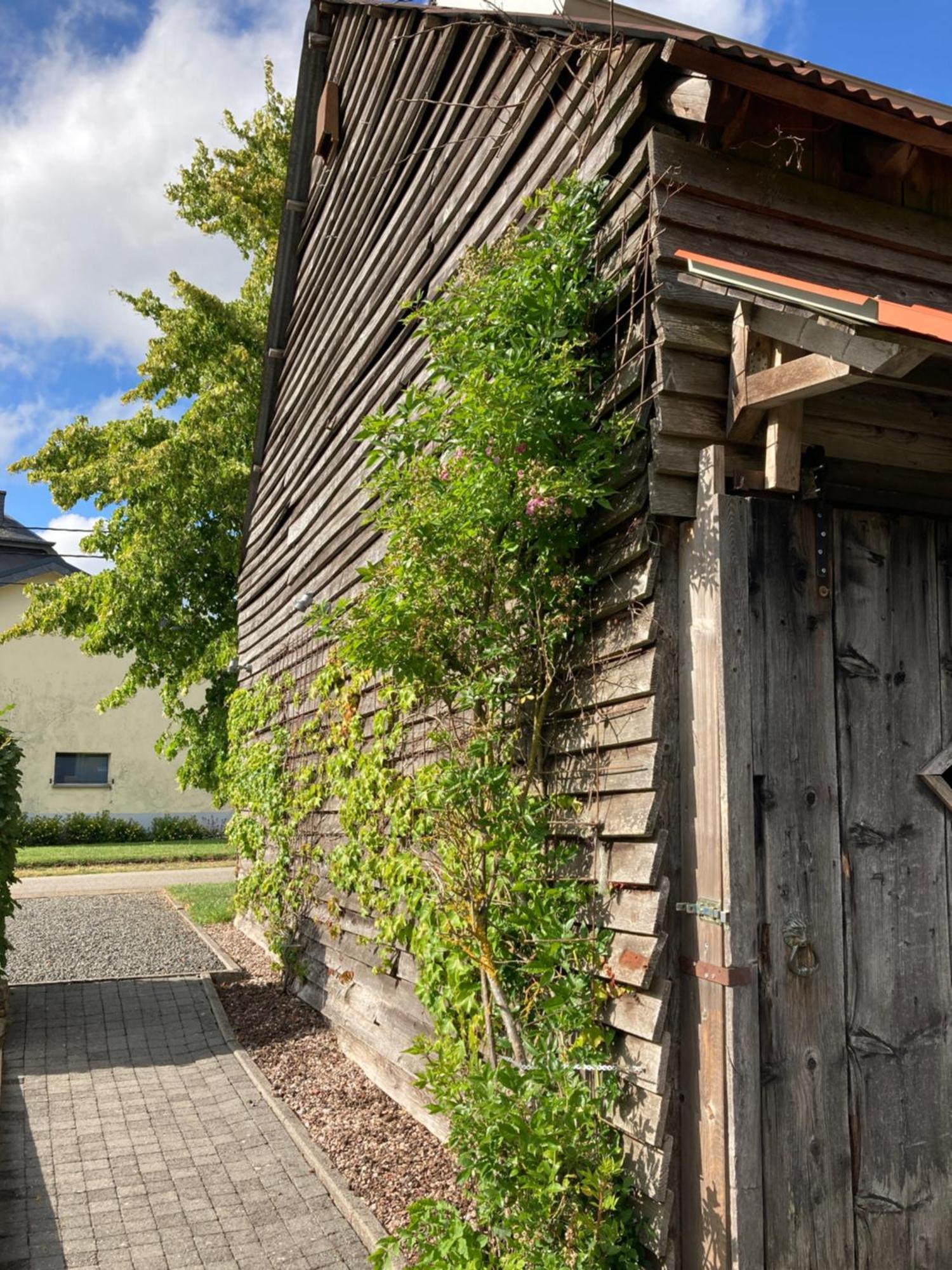 Paulis Cozy 4-Bedroom Vacation Home - With 4 Bathrooms Sun Terrace & Sauna, Nice To Hike & Bike, To Chil & Meet Büllingen Eksteriør billede