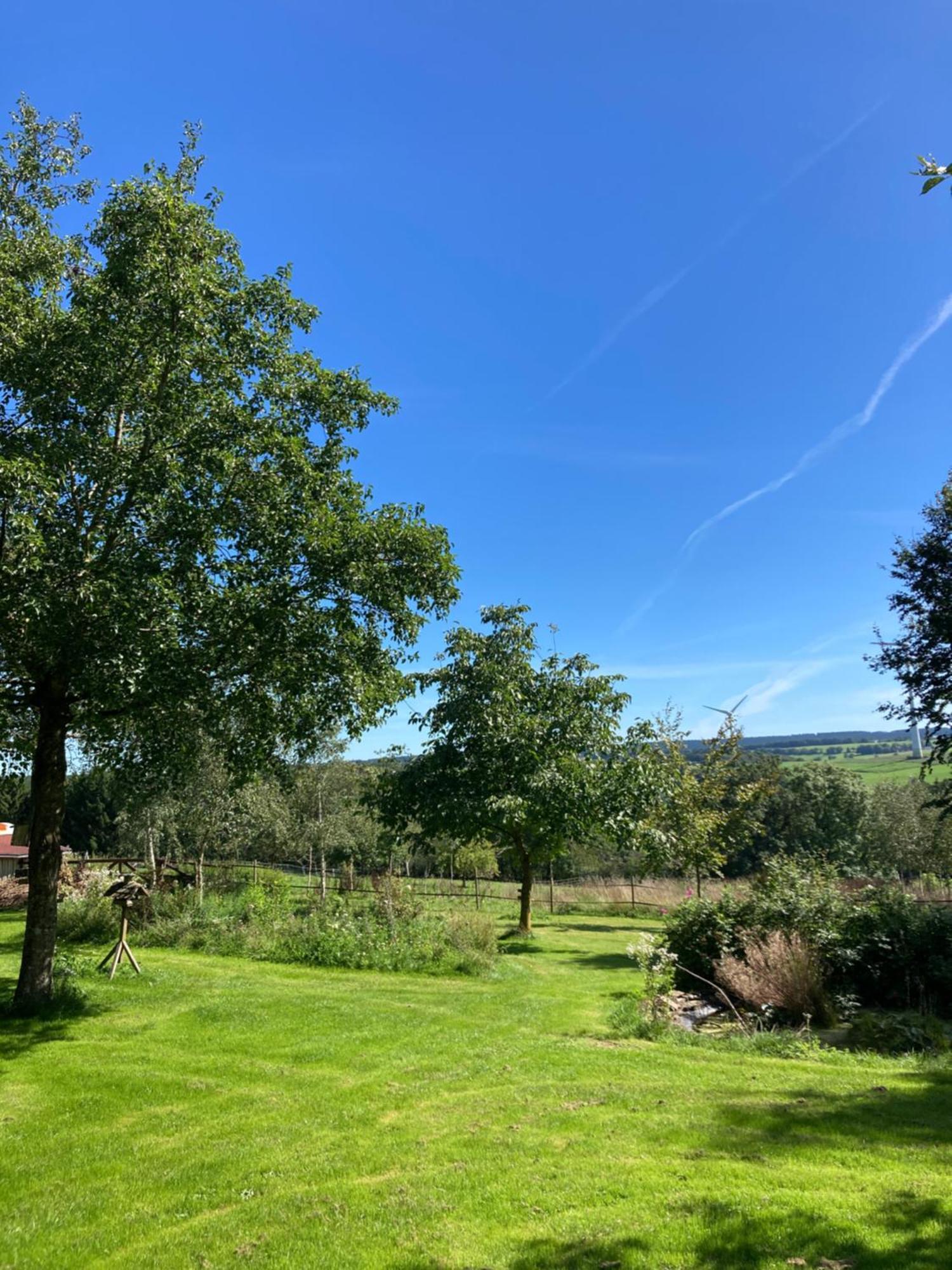Paulis Cozy 4-Bedroom Vacation Home - With 4 Bathrooms Sun Terrace & Sauna, Nice To Hike & Bike, To Chil & Meet Büllingen Eksteriør billede