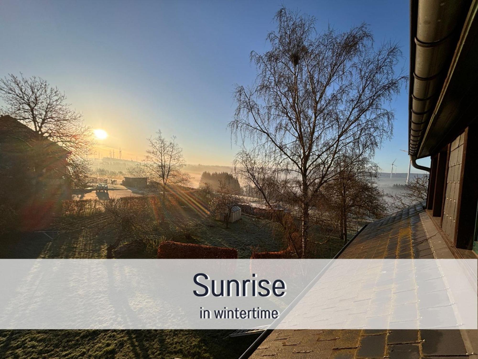 Paulis Cozy 4-Bedroom Vacation Home - With 4 Bathrooms Sun Terrace & Sauna, Nice To Hike & Bike, To Chil & Meet Büllingen Eksteriør billede