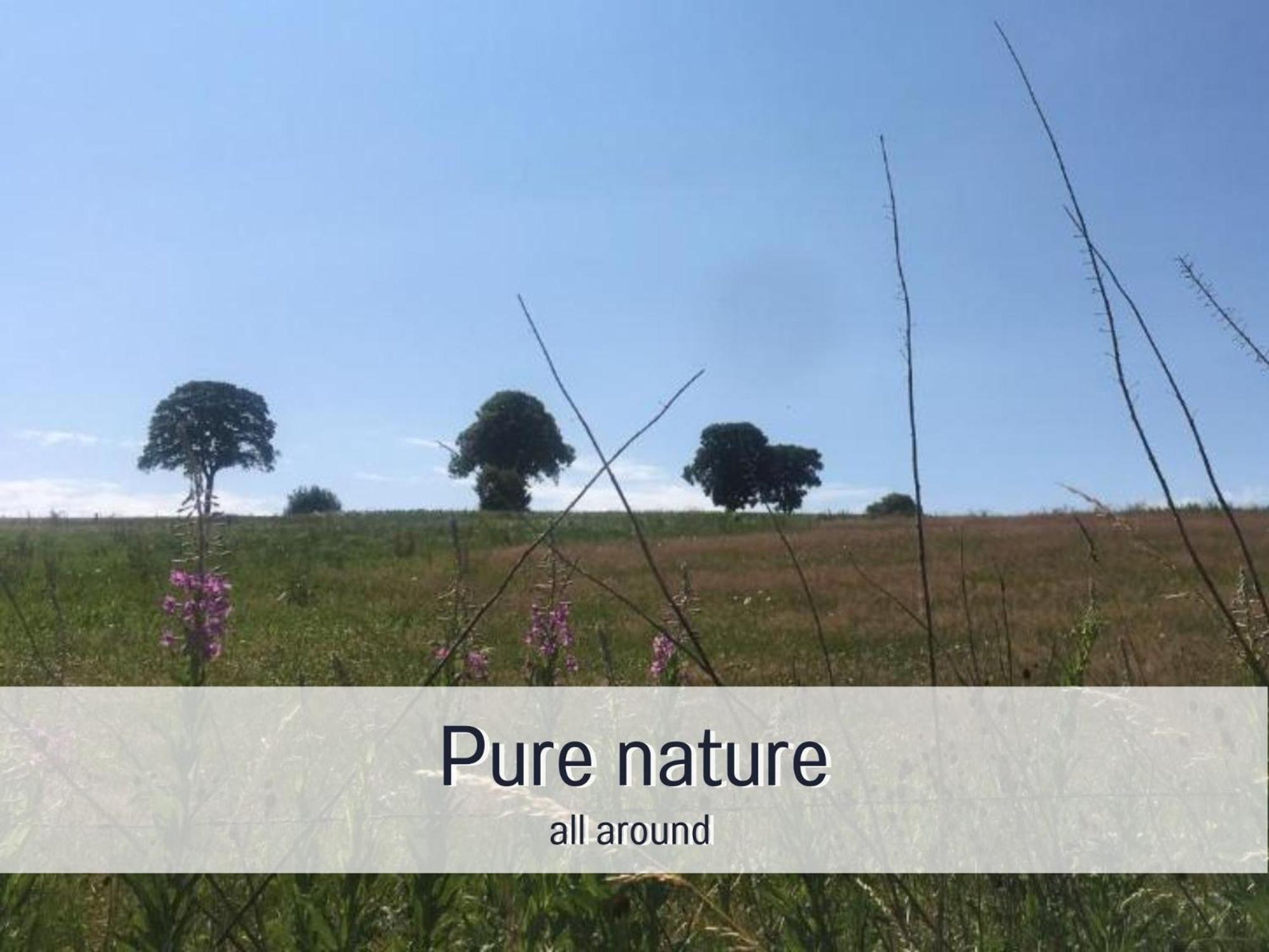 Paulis Cozy 4-Bedroom Vacation Home - With 4 Bathrooms Sun Terrace & Sauna, Nice To Hike & Bike, To Chil & Meet Büllingen Eksteriør billede